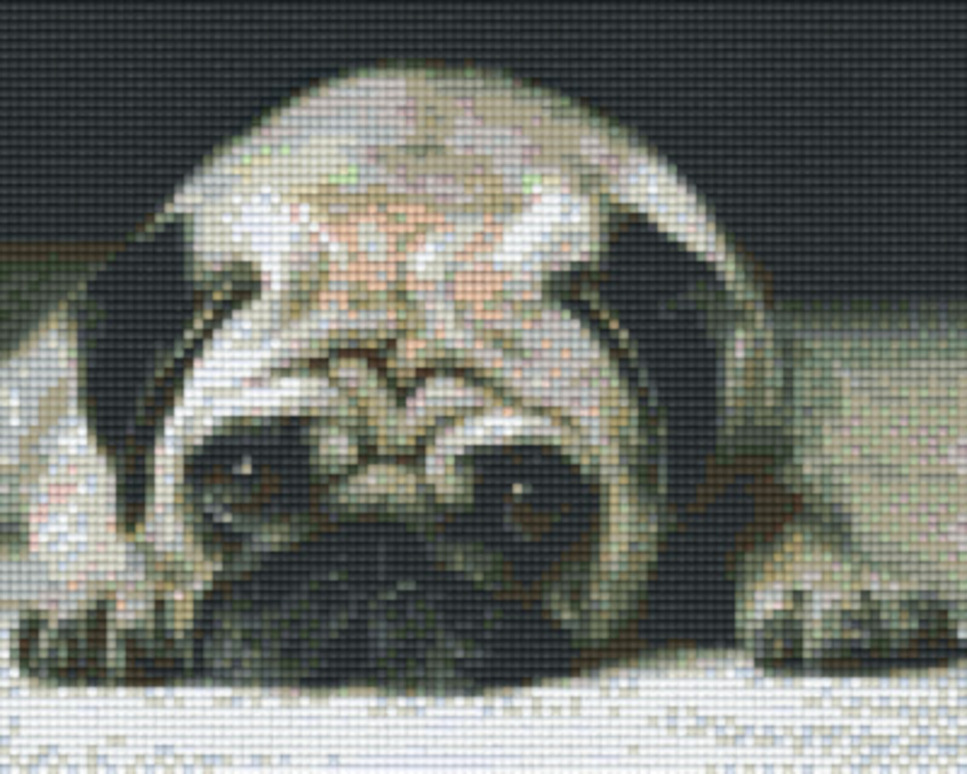 Pug Face Four [4] Baseplate PixelHobby Mini-mosaic Art Kit image 0